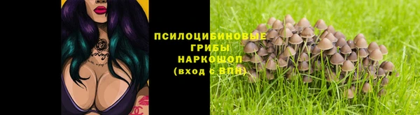 ГАЛЛЮЦИНОГЕННЫЕ ГРИБЫ Осташков