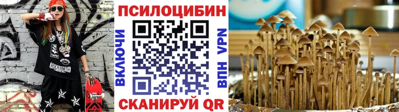 Псилоцибиновые грибы GOLDEN TEACHER где купить Кочубеевское